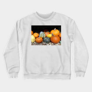 Colourful Pumpkins Crewneck Sweatshirt